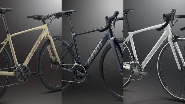 トム 自転車 スポーツバイク - 京都の自転車専門店 サイクルどり〜む